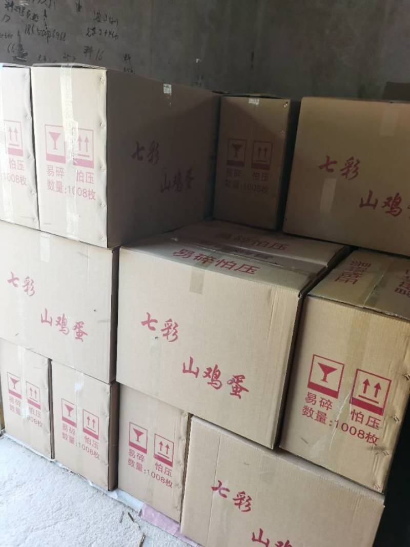 新鲜野鸡蛋量大包新鲜包破碎包运输