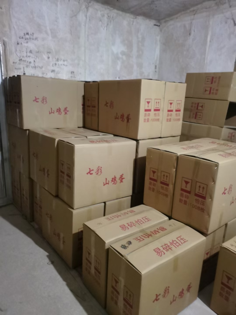 新鲜野鸡蛋量大包新鲜包破碎包运输