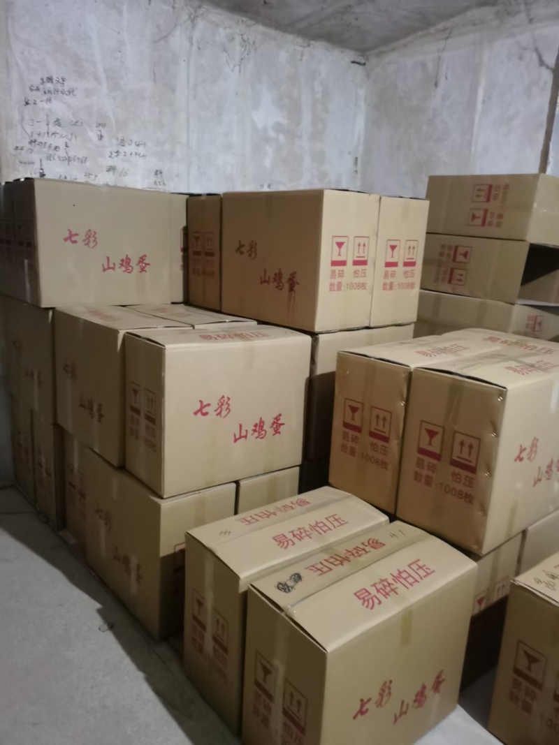 新鲜野鸡蛋量大包新鲜包破碎包运输