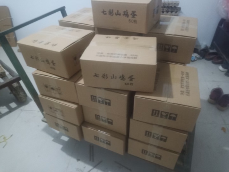 新鲜野鸡蛋量大包新鲜包破碎包运输