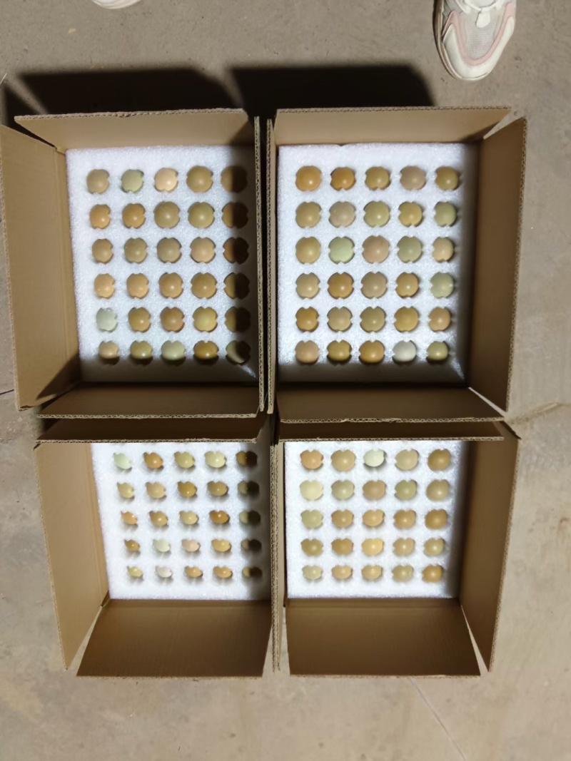 新鲜野鸡蛋量大包新鲜包破碎包运输