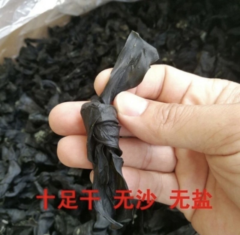 霞浦全烘干海带头、海带扣