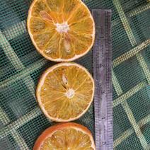 低调农业开发专业合作社大量供应橙子干片