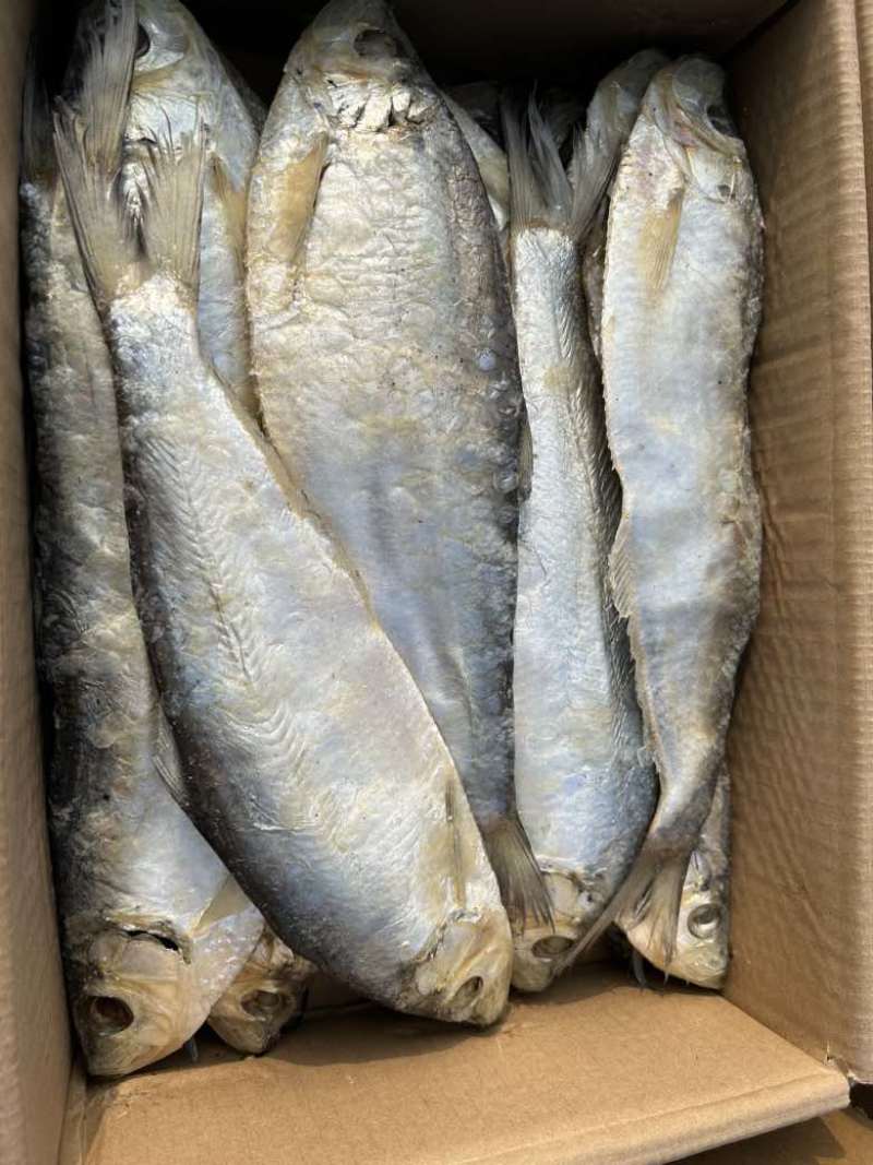 白鳞鱼，咸鱼干，