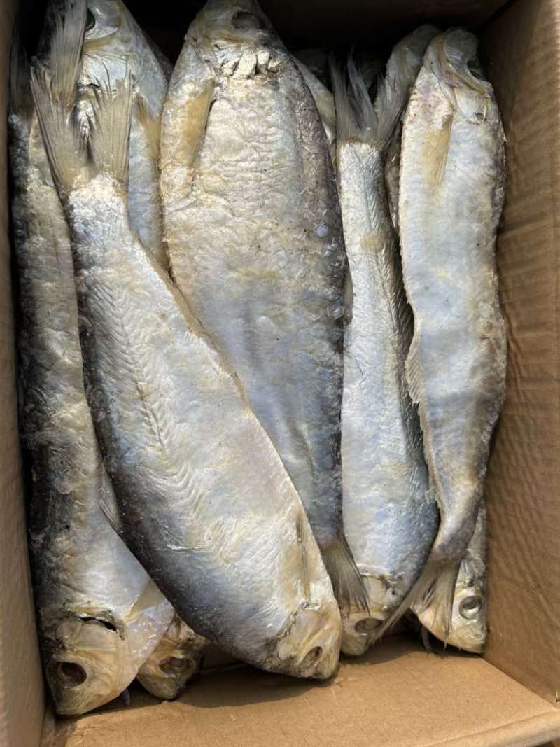 白鳞鱼，咸鱼干，