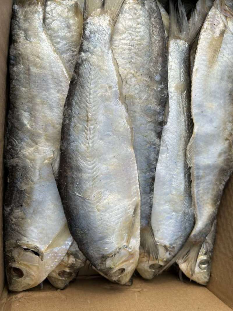 白鳞鱼，咸鱼干，