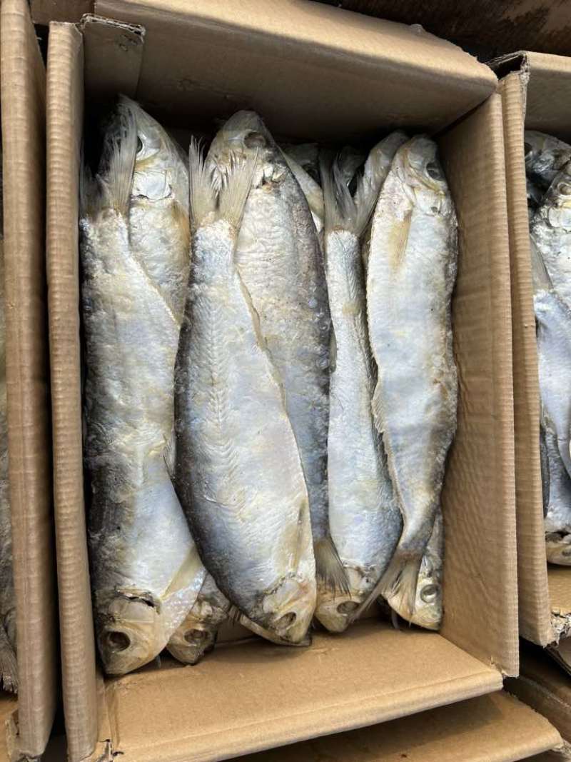 白鳞鱼，咸鱼干，