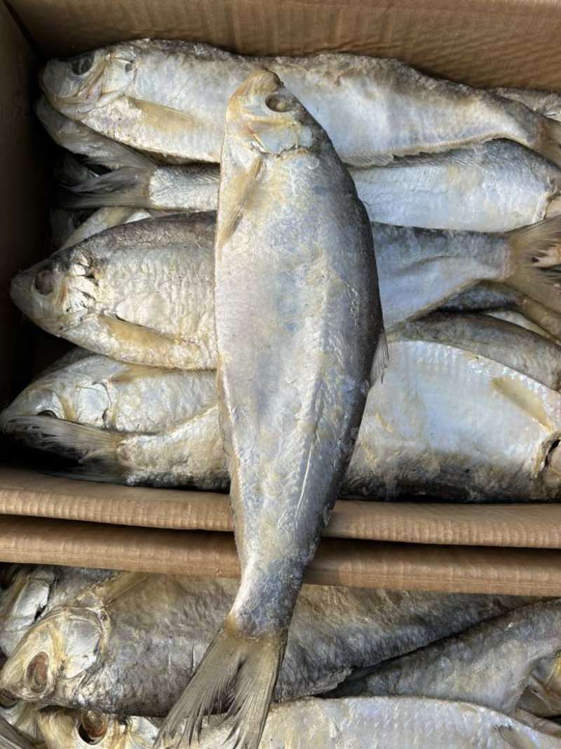 白鳞鱼，咸鱼干，
