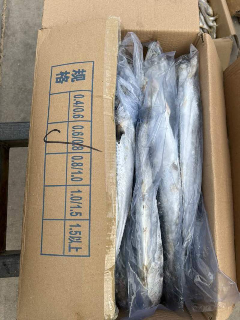 燕尾鲅鱼，单条套袋，每条6-8两左右