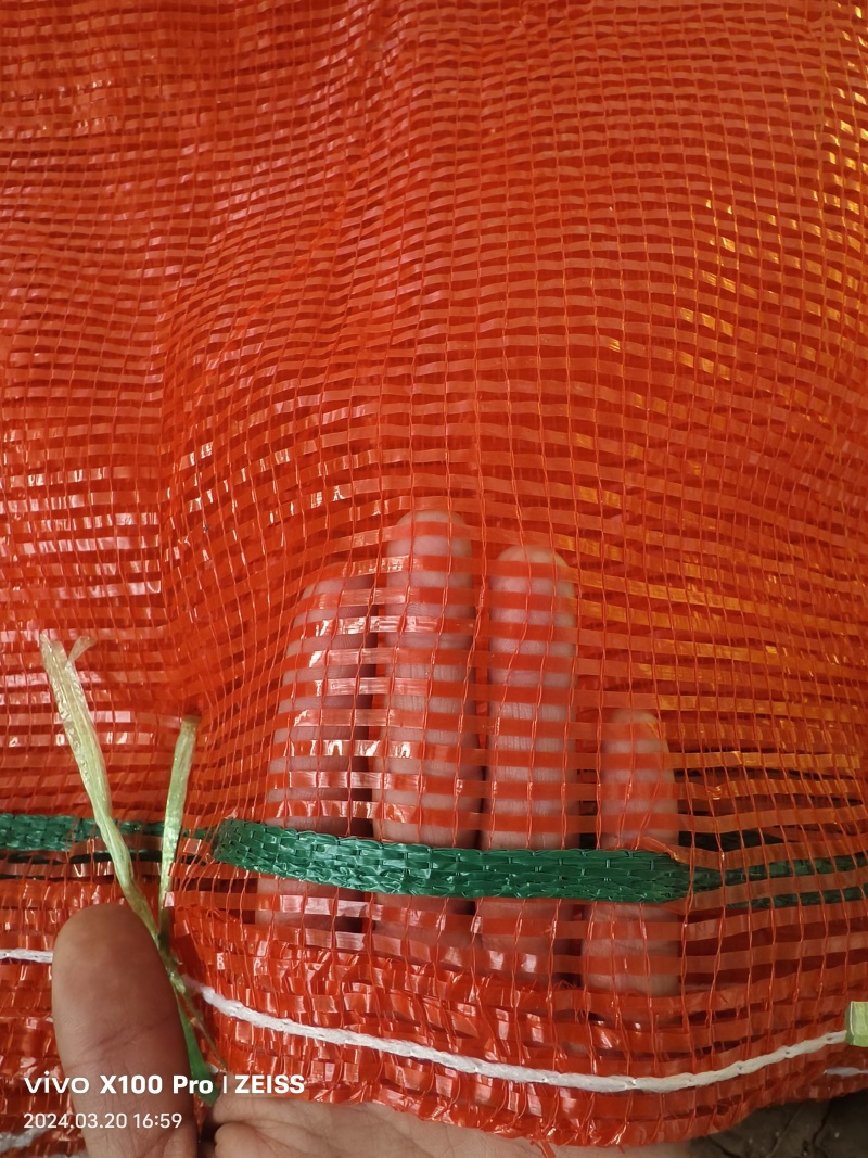 各种型号蔬菜网袋，玉米，土豆，洋葱，甘蓝，需要的老板电联……