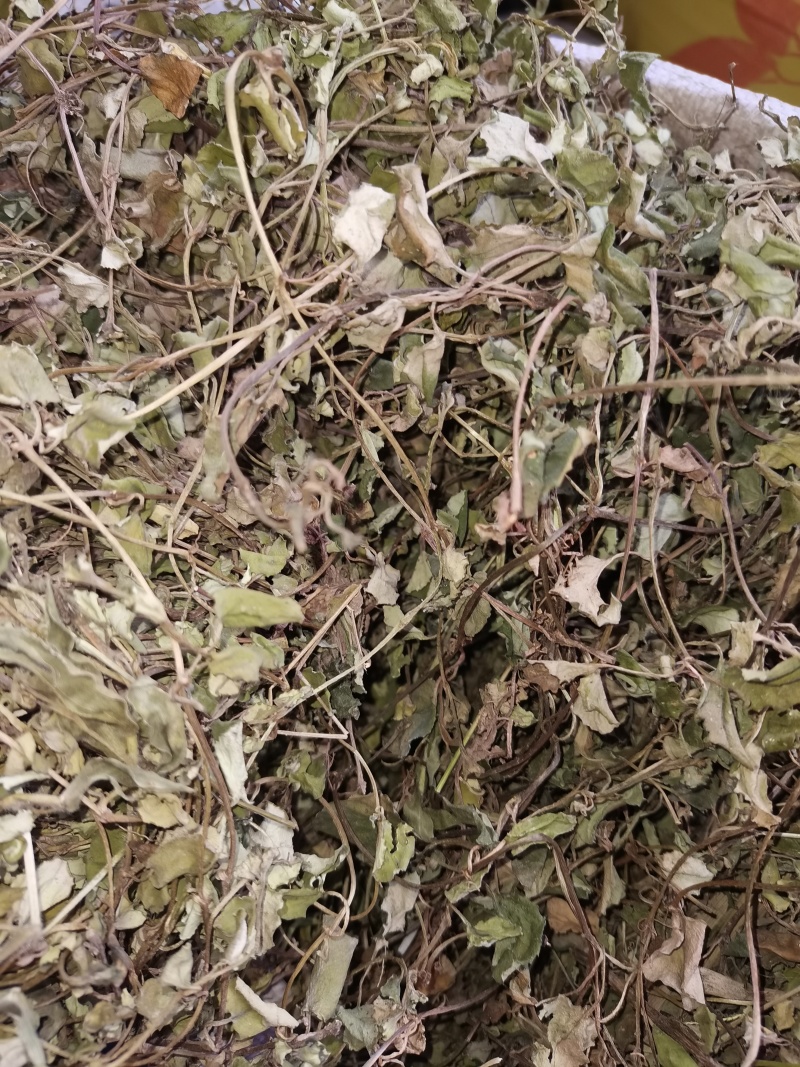 金钱草