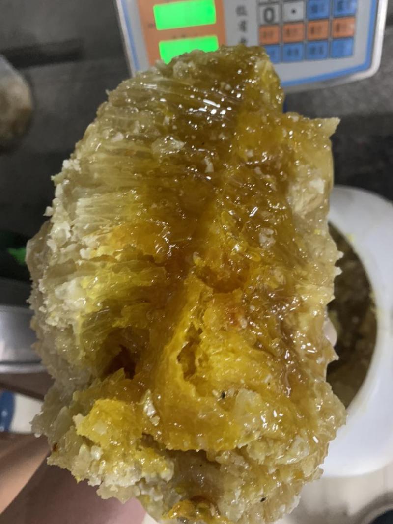 云南蜂蜜野生大挂蜂蜜大排蜜一手货源量大联系