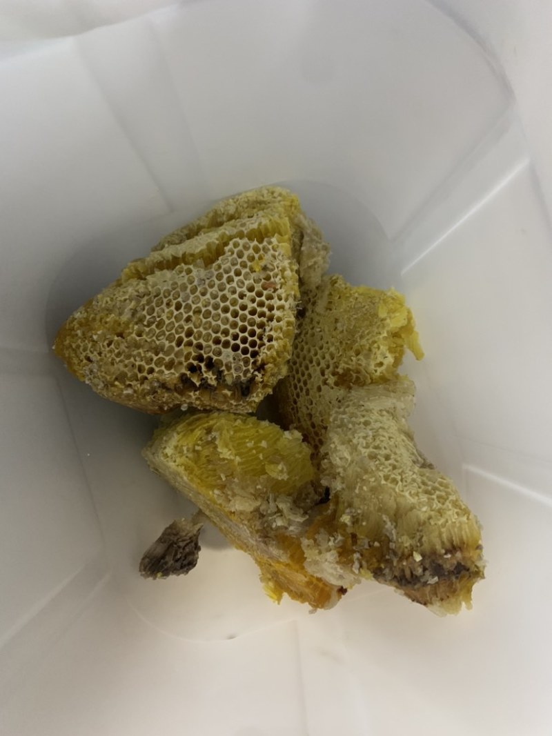 云南蜂蜜野生大挂蜂蜜大排蜜一手货源量大联系