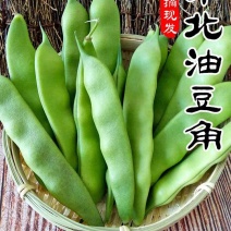 东北油豆角