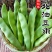 东北油豆角