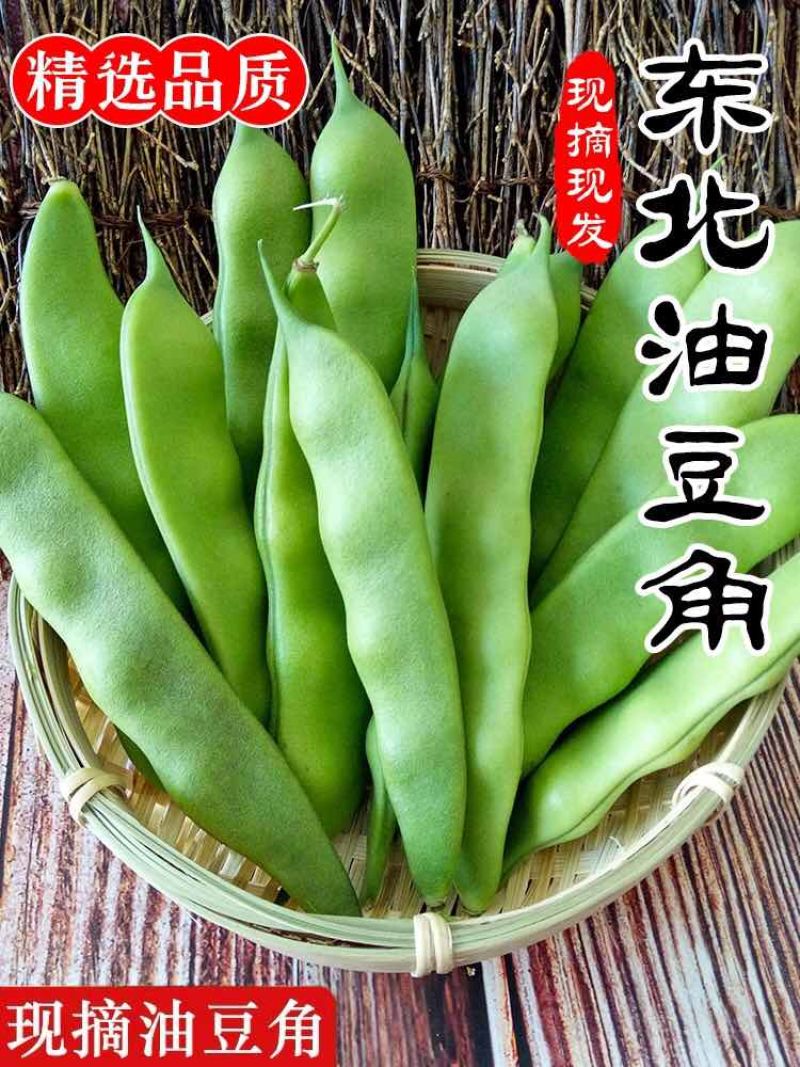 东北油豆角
