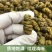 安徽霍山铁皮石斛