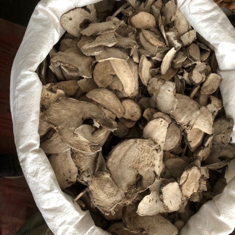 紫茉莉根，又名入地老鼠，钻老鼠。