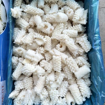 干冰B级鱿鱼花，不碎，品质好，纯干，5公斤一件，口感好，