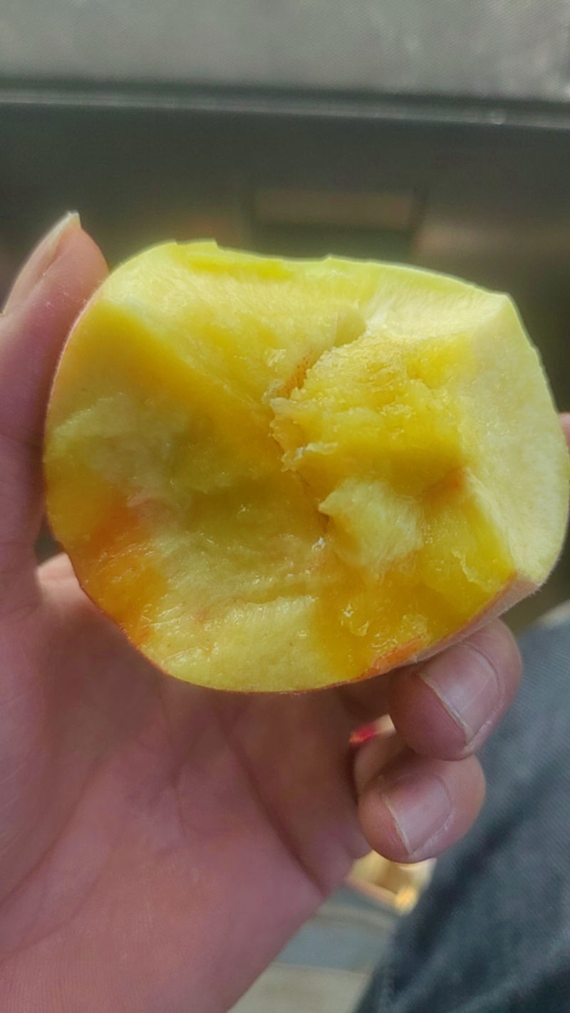 毛桃，黄桃，电商果，市场果，超市供应，美团货，多多买菜供应中