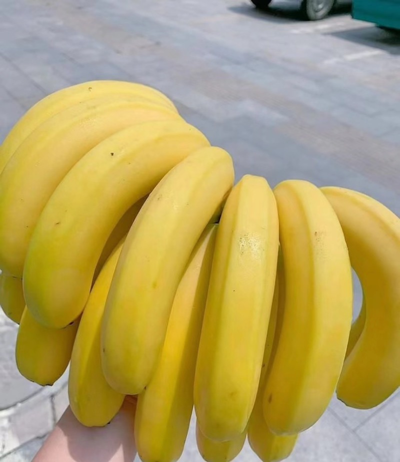 精品，精品，精品，香蕉的特写，现加工出库，精品二黄蕉，