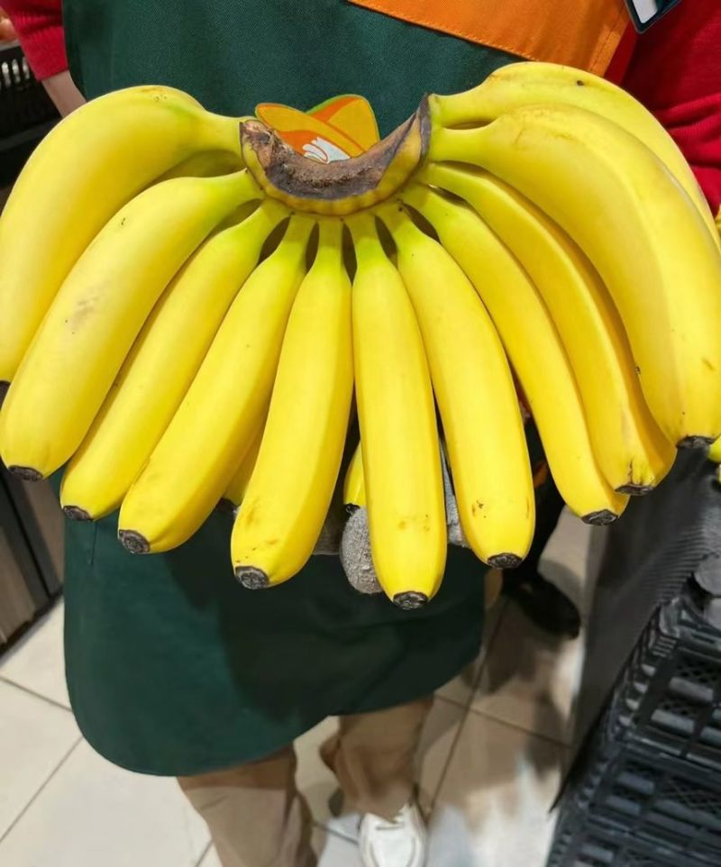 精品，精品，精品，香蕉的特写，现加工出库，精品二黄蕉，