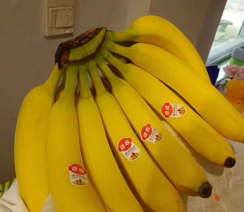 精品，精品，精品，香蕉的特写，现加工出库，精品二黄蕉，