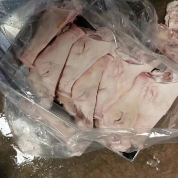 精修猪头干净无毛规格齐全货源充足量大从优