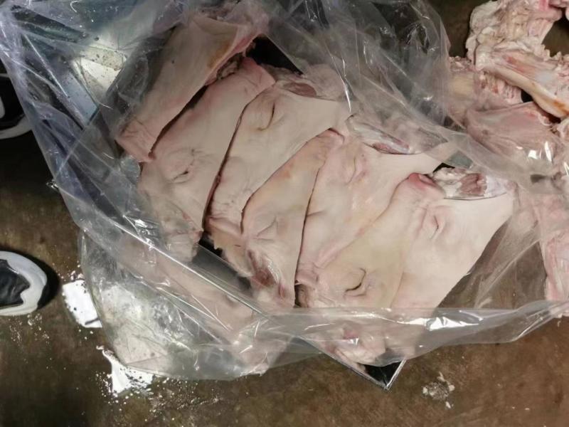 精修猪头干净无毛规格齐全货源充足量大从优