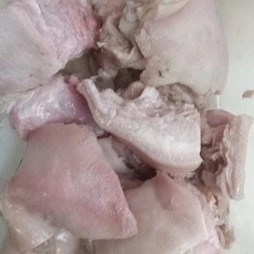 切块生猪头肉
