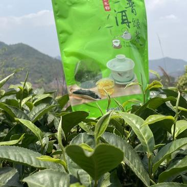 普洱绿茶