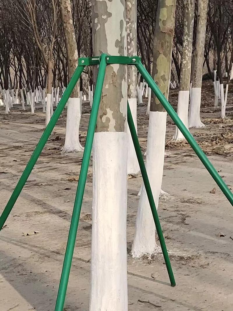订做钢管支架树木支撑架大树支架