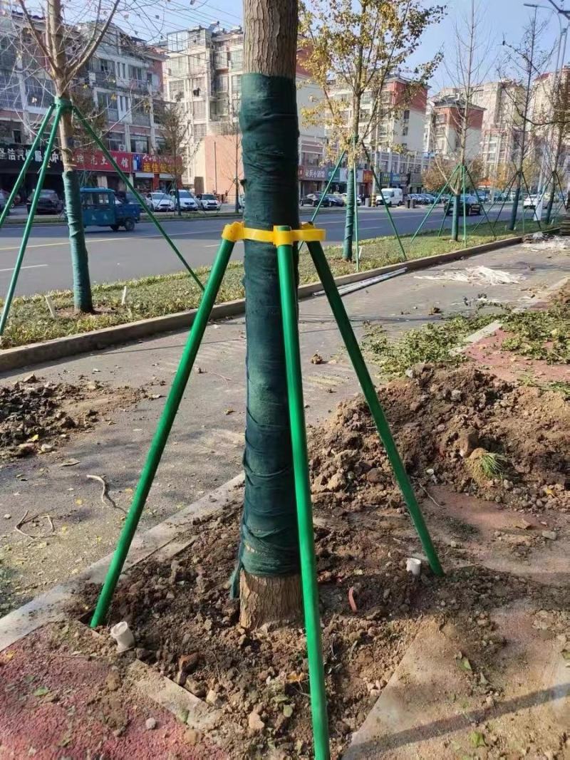 订做钢管支架树木支撑架大树支架