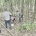 光杆香樟8公分10公分12公分粗