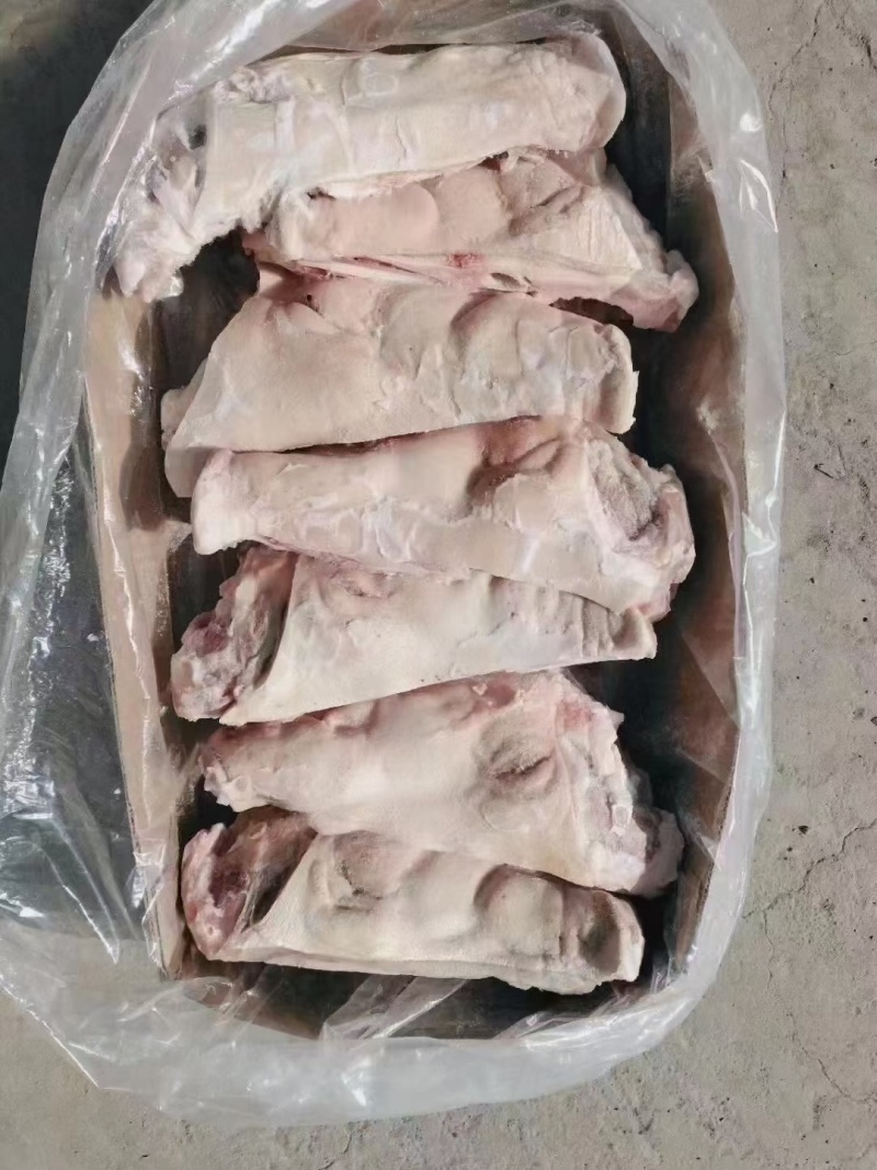猪脸
