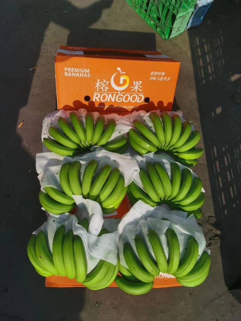 精品大牌二级蕉，品质杠杠硬，做的就是品牌与质量，