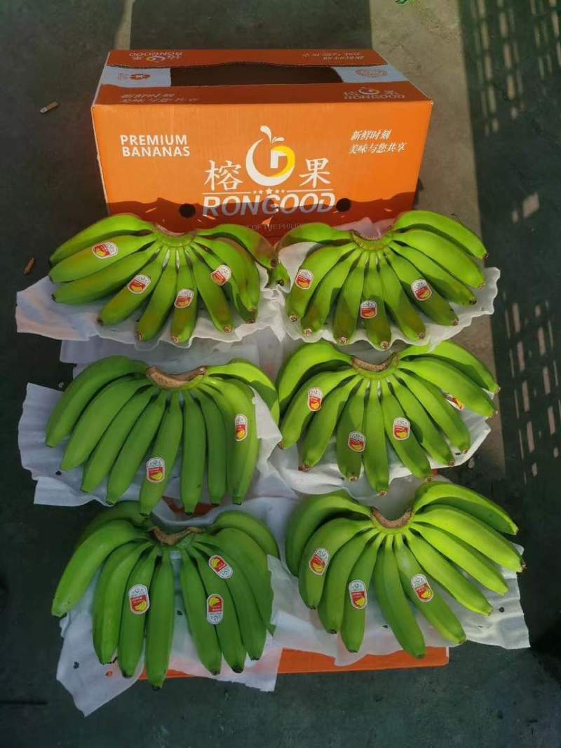 精品大牌二级蕉，品质杠杠硬，做的就是品牌与质量，