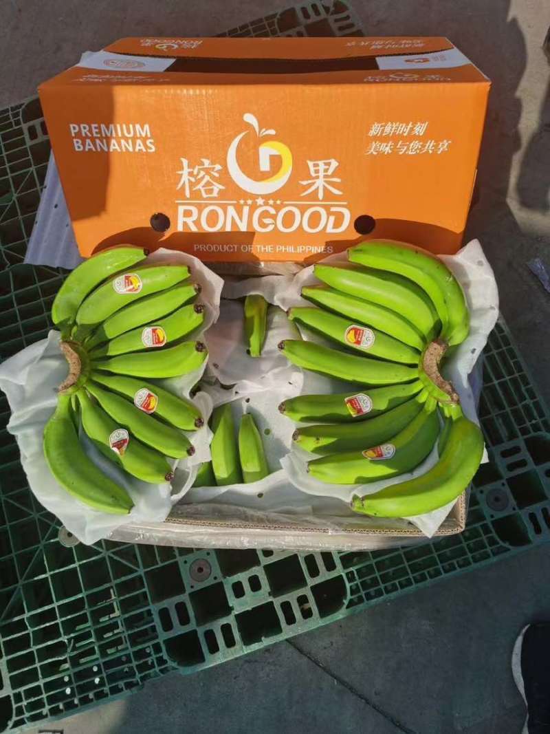 精品大牌二级蕉，品质杠杠硬，做的就是品牌与质量，