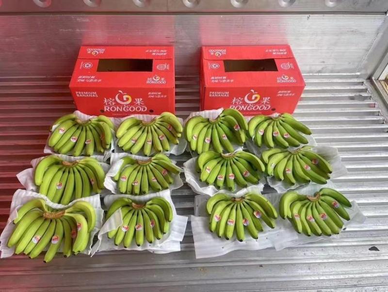 精品大牌二级蕉，品质杠杠硬，做的就是品牌与质量，