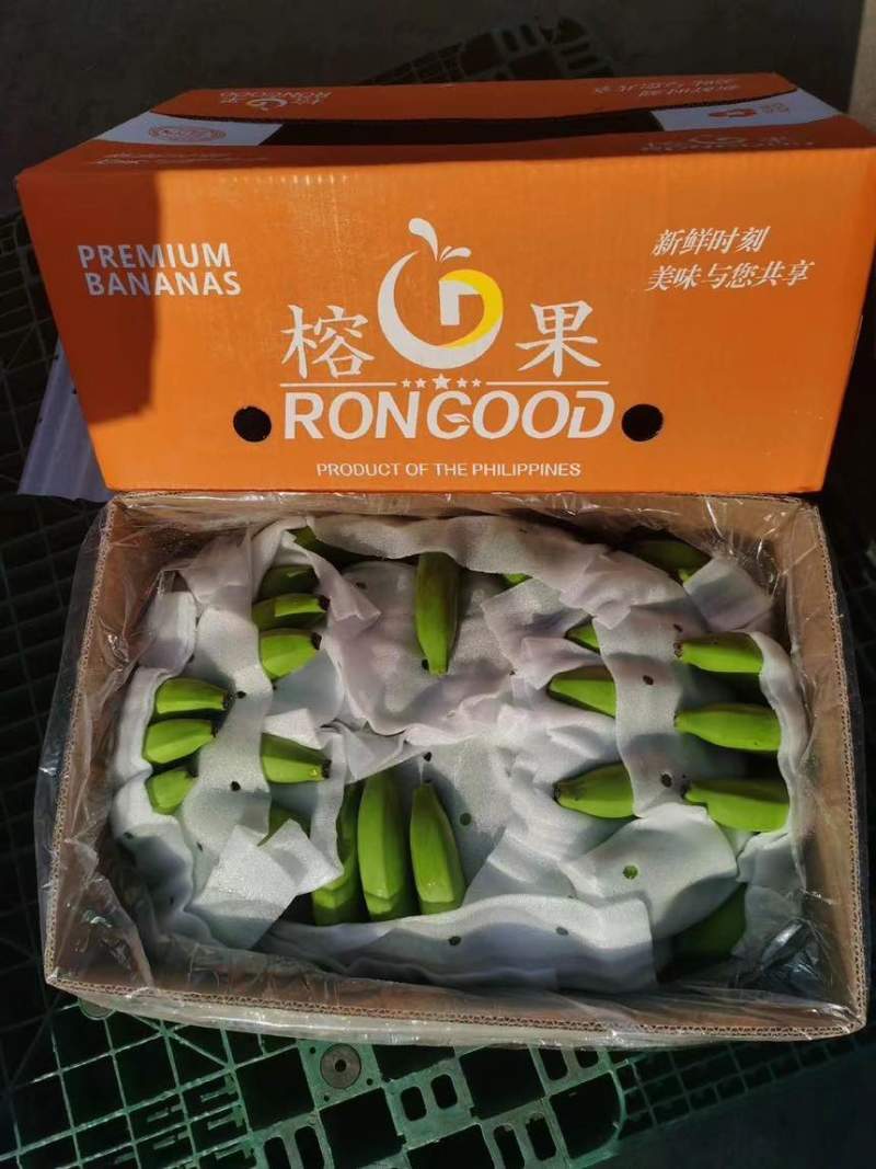 精品大牌二级蕉，品质杠杠硬，做的就是品牌与质量，