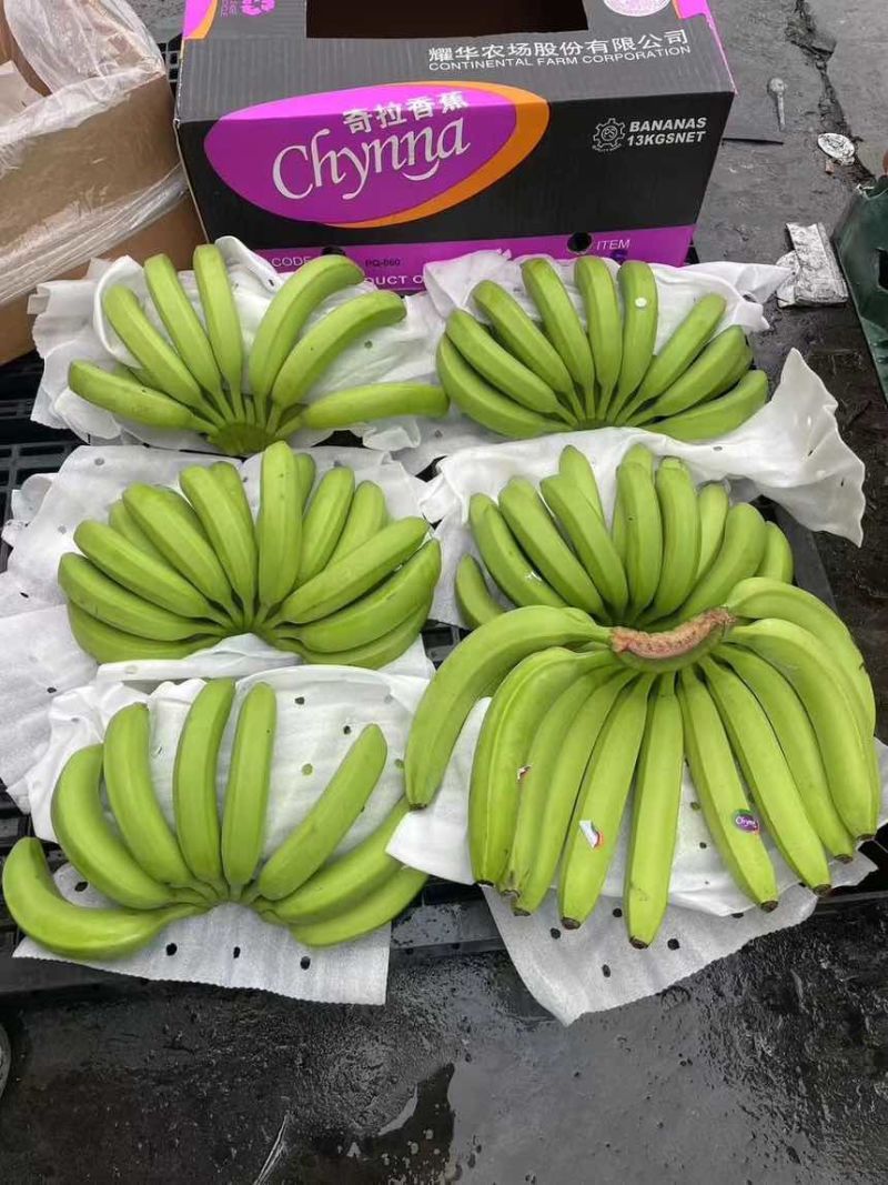 精品大牌二级蕉，品质杠杠硬，做的就是品牌与质量，