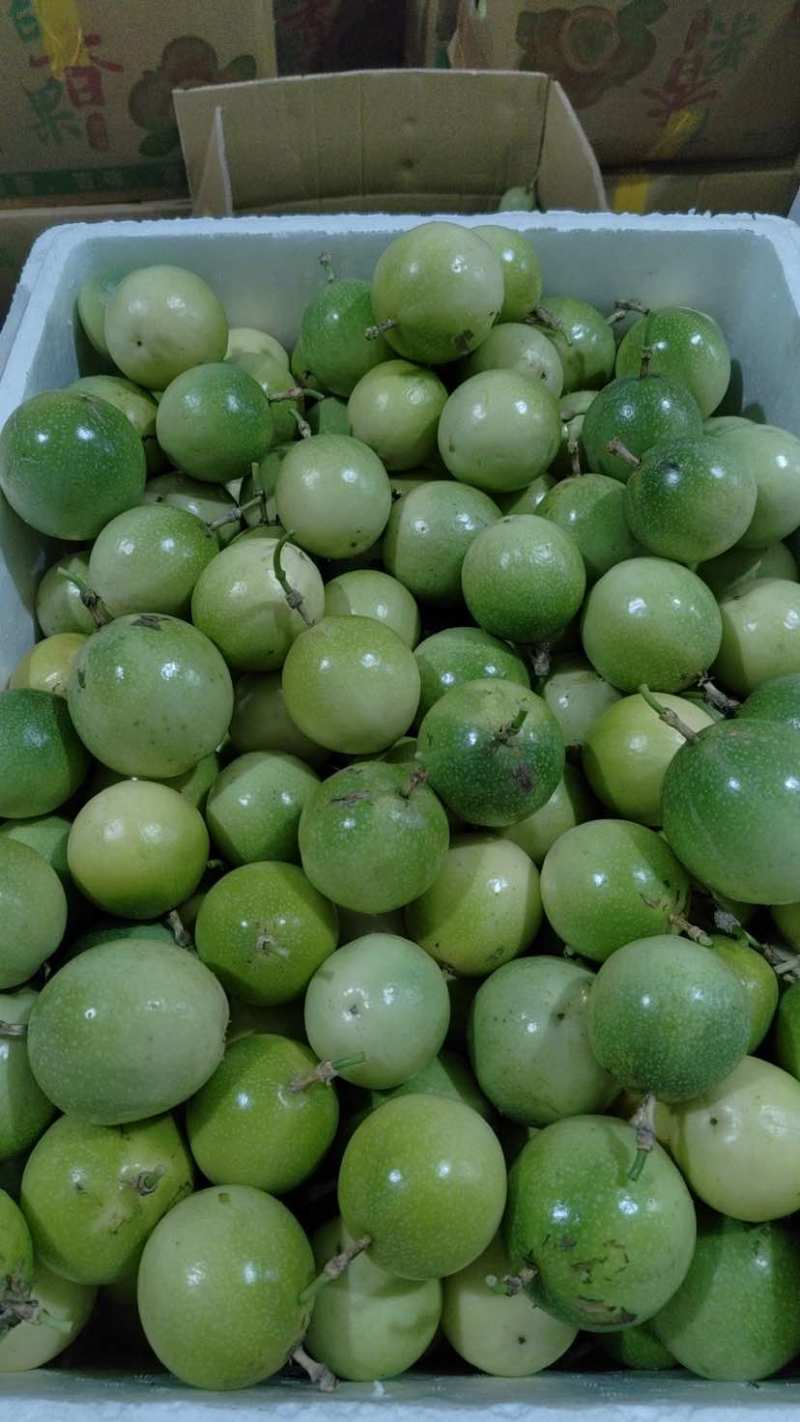 黄金百香果钦蜜9号开始大量上市市场电商工厂欢迎对接