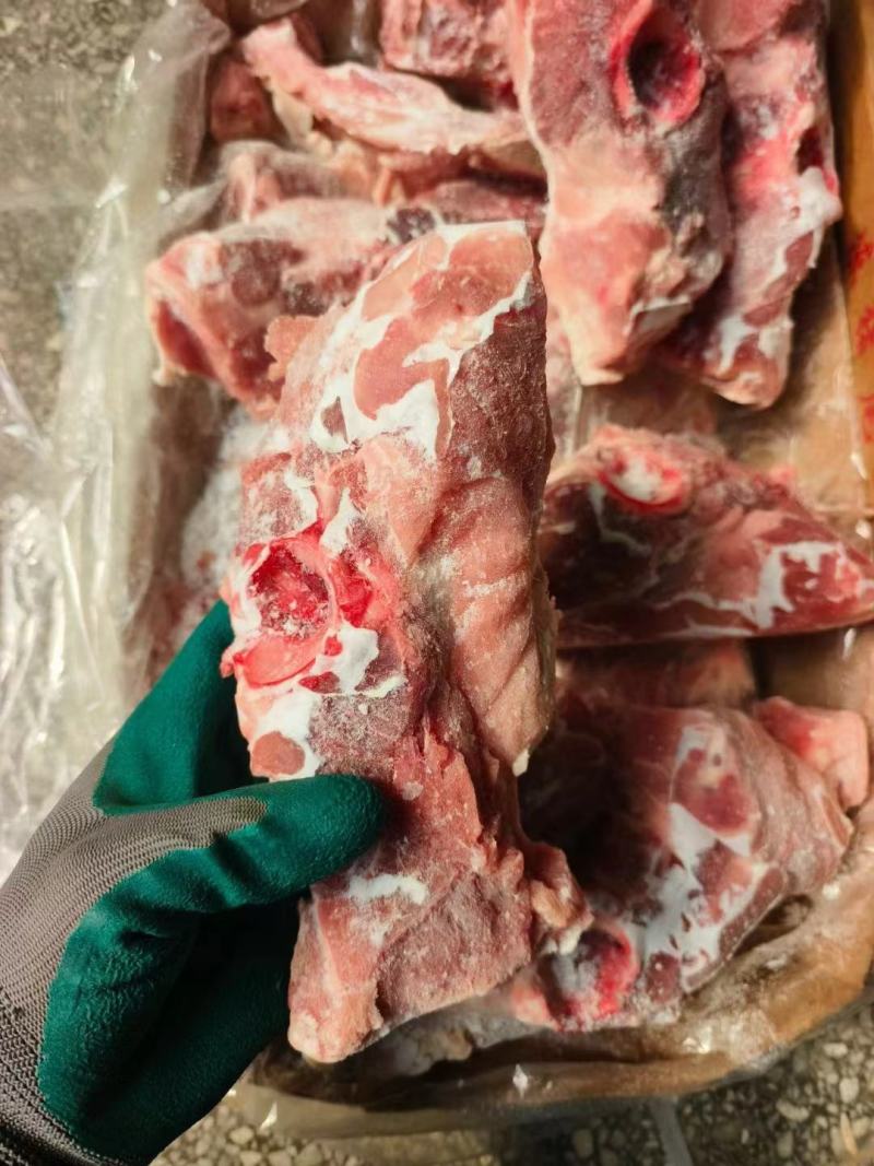 多肉尾叉骨