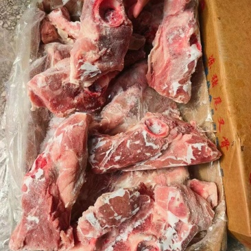 多肉尾叉骨