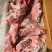 多肉尾叉骨