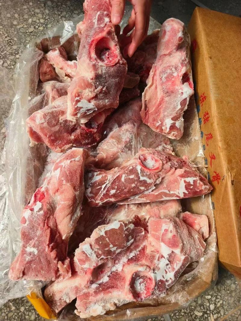 多肉尾叉骨