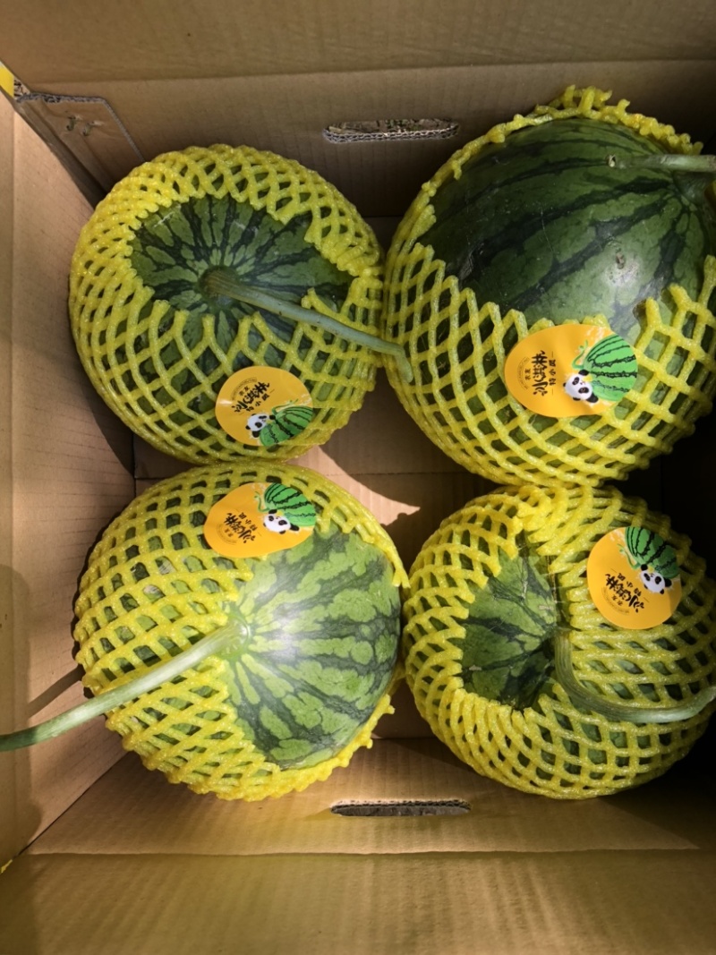 西瓜源头供应随时有货