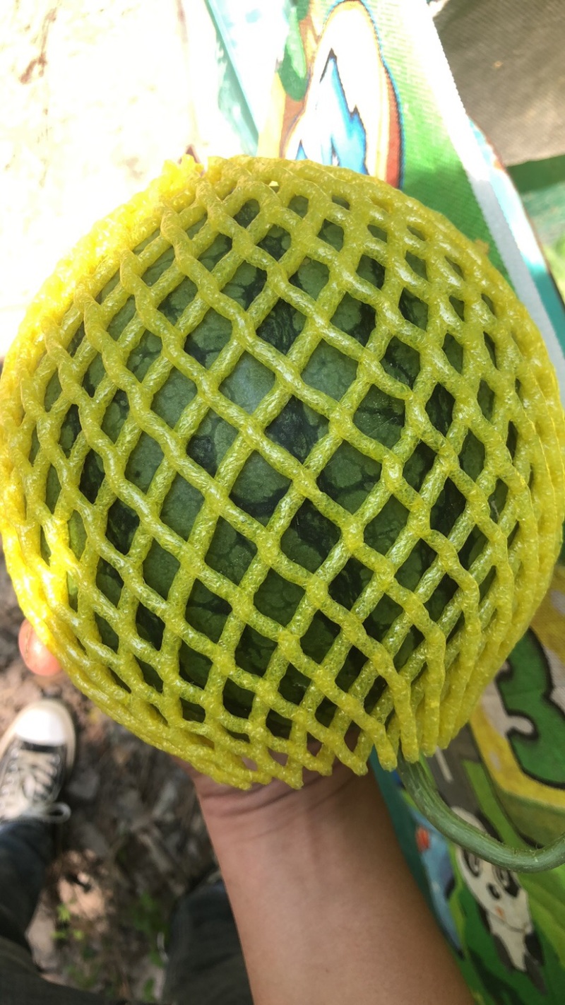 西瓜源头供应随时有货