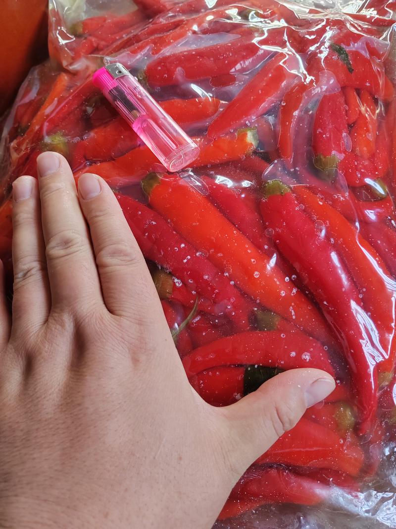津红红椒，二荆条，红杭椒，小米椒真空包装腌制泡椒真空包装产地