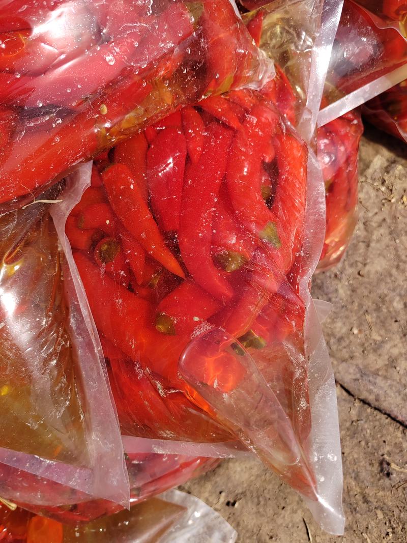 津红红椒，二荆条，红杭椒，小米椒真空包装腌制泡椒真空包装产地